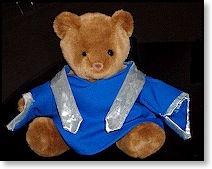 bear_sidebar
